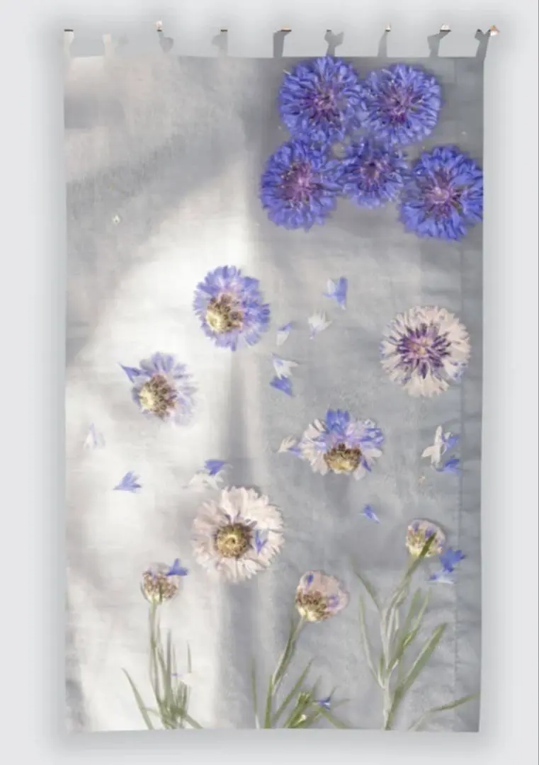 2026年最新】コロンバレッディの人気アイテム - メルカリ