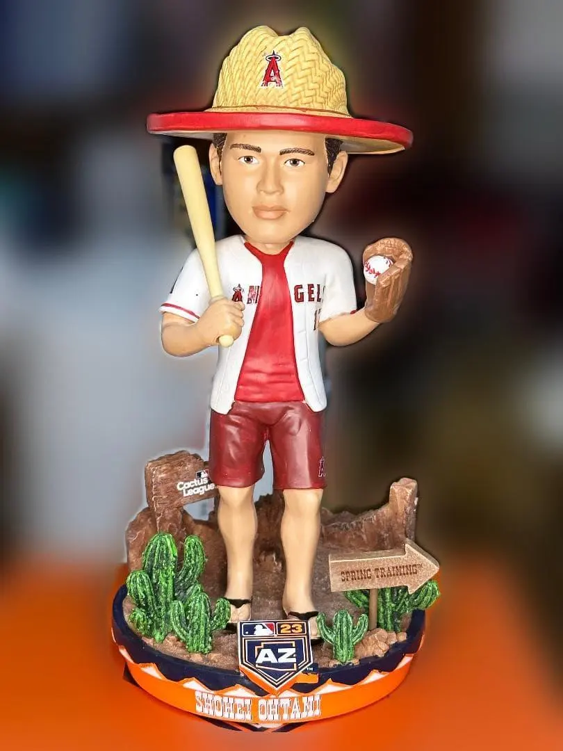 2026年最新】アリゾナキャンプの人気アイテム - メルカリ