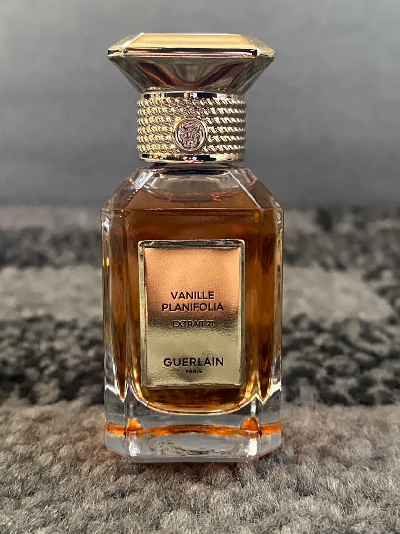 2026年最新】ヴァニーユ プラニフォリアの人気アイテム - メルカリ