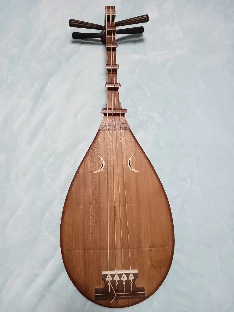 2026年最新】薩摩琵琶の人気アイテム - メルカリ