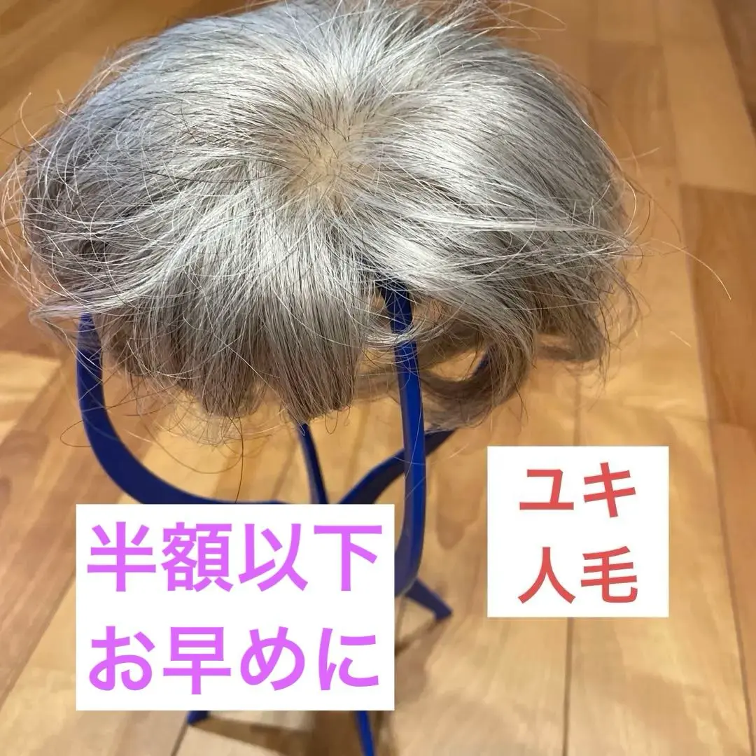2026年最新】部分ウィッグ ユキの人気アイテム - メルカリ