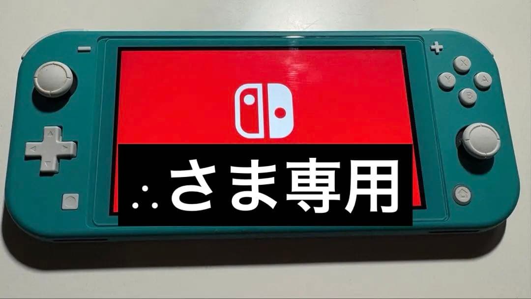 【∴ さま専用】Nintendo Switch Lite
