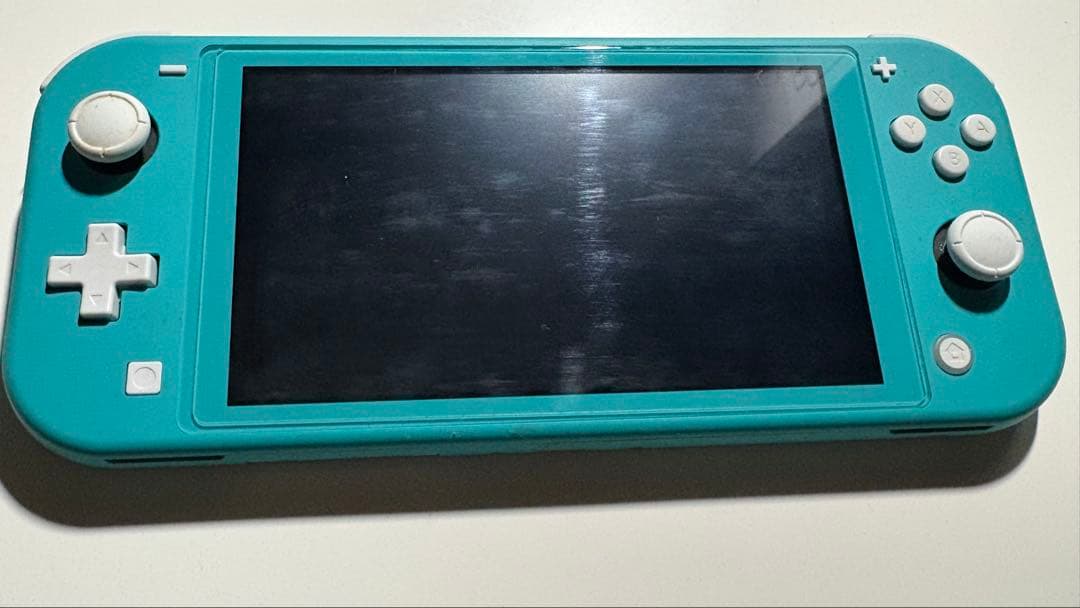 【∴ さま専用】Nintendo Switch Lite