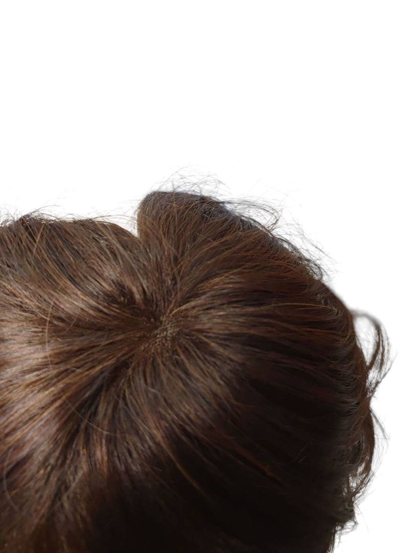 エアリッチ　ジュリアオージェ　部分ウィッグ　アートネイチャー