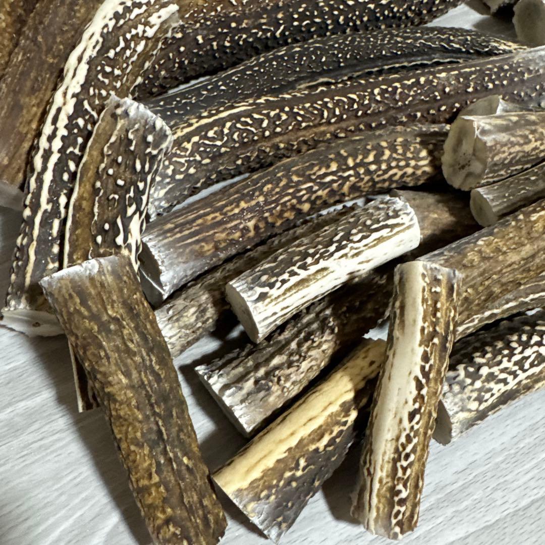 鹿の角　端材Ｂ　ハンドメイド用