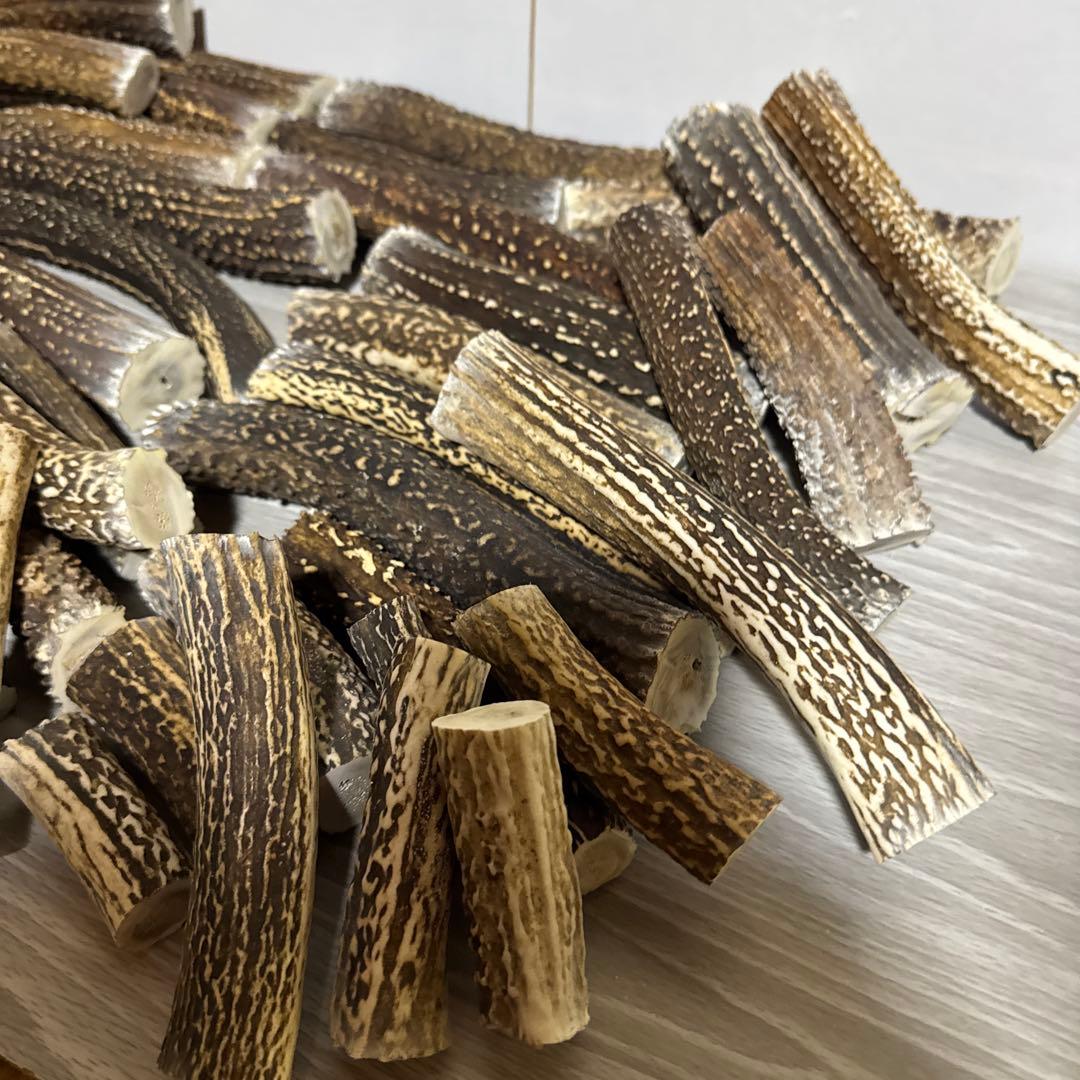 鹿の角　端材Ｂ　ハンドメイド用