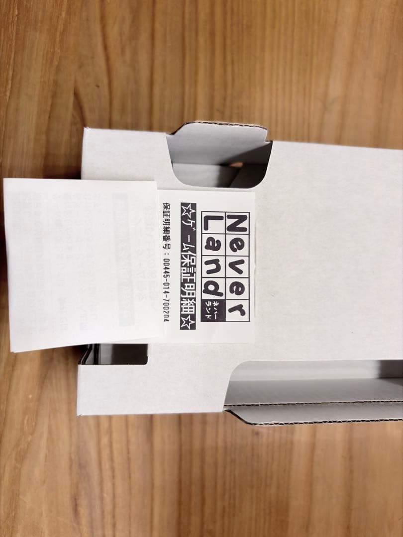 Nintendo Switch Lite 本体 グレー（付属品完備・おまけ付）