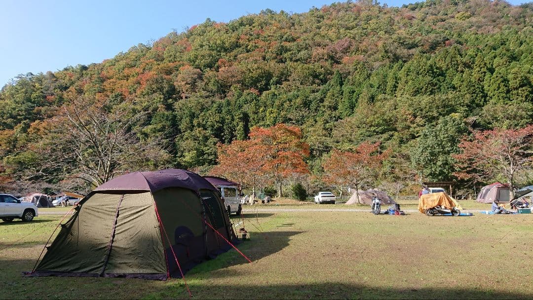 LOGOS　プレミアムPANELグレートドゥーブル XL−AF