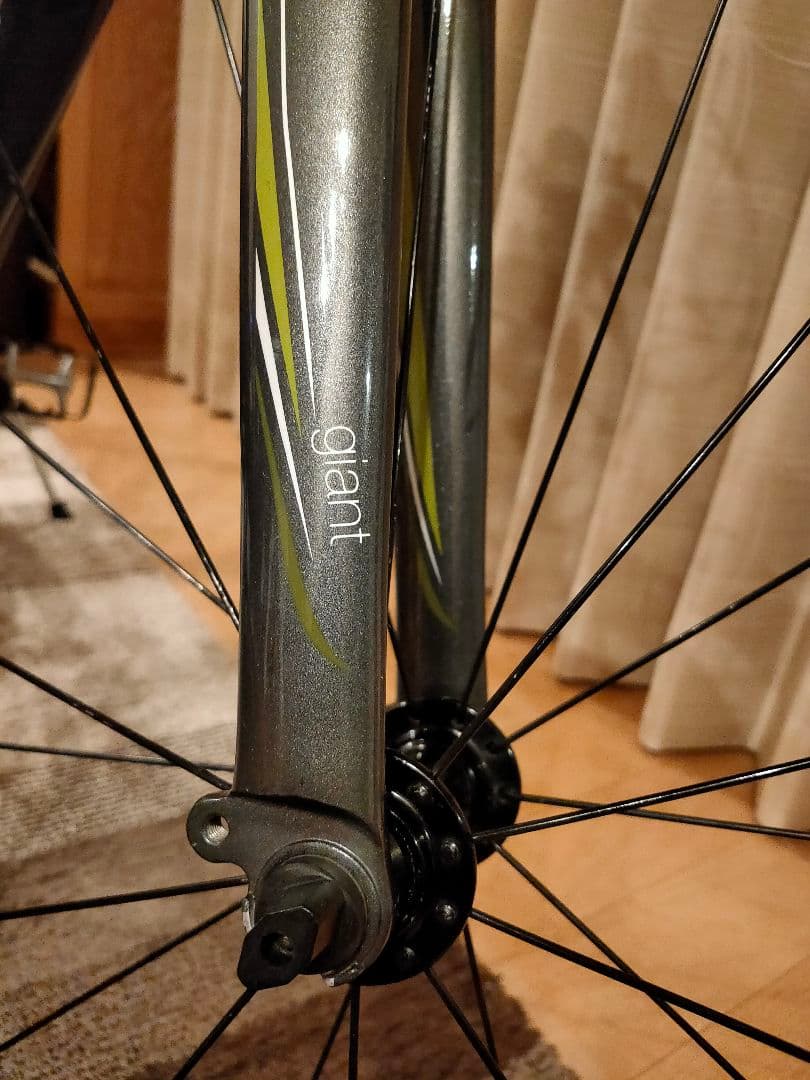 GIANT ジャイアント ESCAPE エスケープ RX Liv リブ XXS