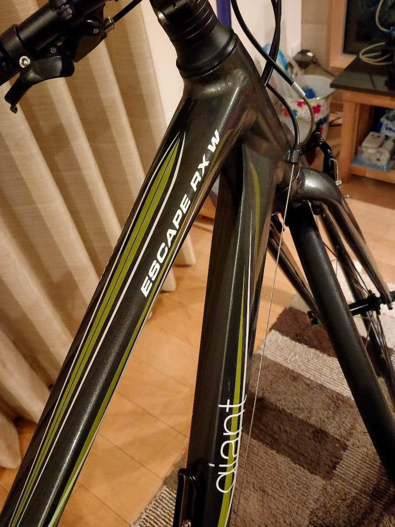 GIANT ジャイアント ESCAPE エスケープ RX Liv リブ XXS