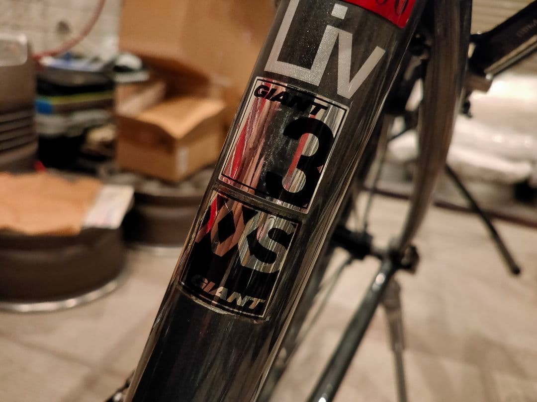 GIANT ジャイアント ESCAPE エスケープ RX Liv リブ XXS