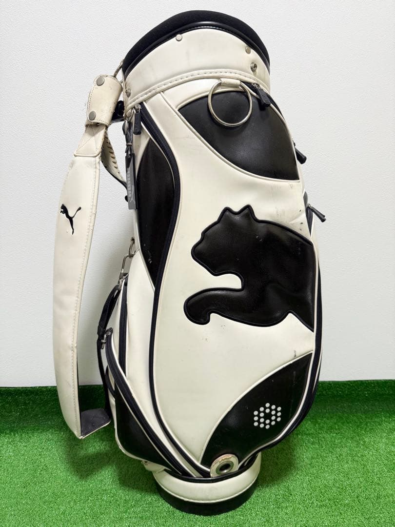 ウィルソン リンクス 初心者 メンズ ゴルフクラブセット フルセット 一式