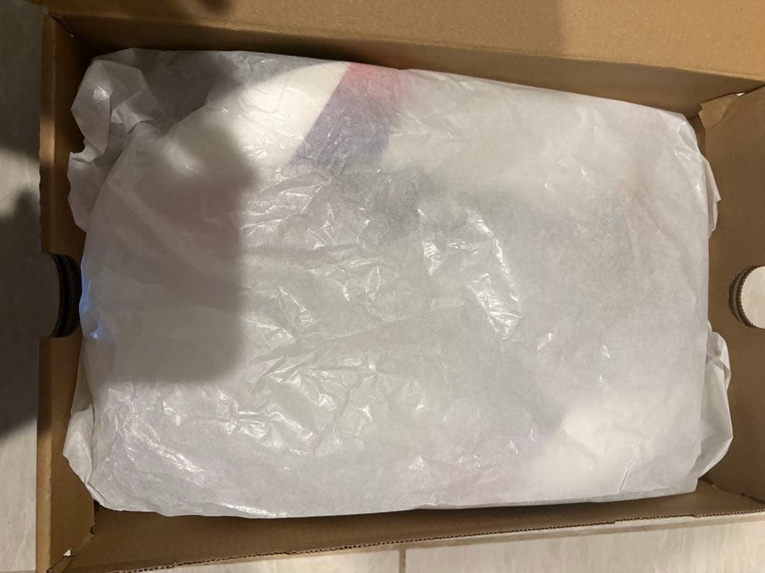 スパイク・シューズ asics SPEED RAY 29.0cm