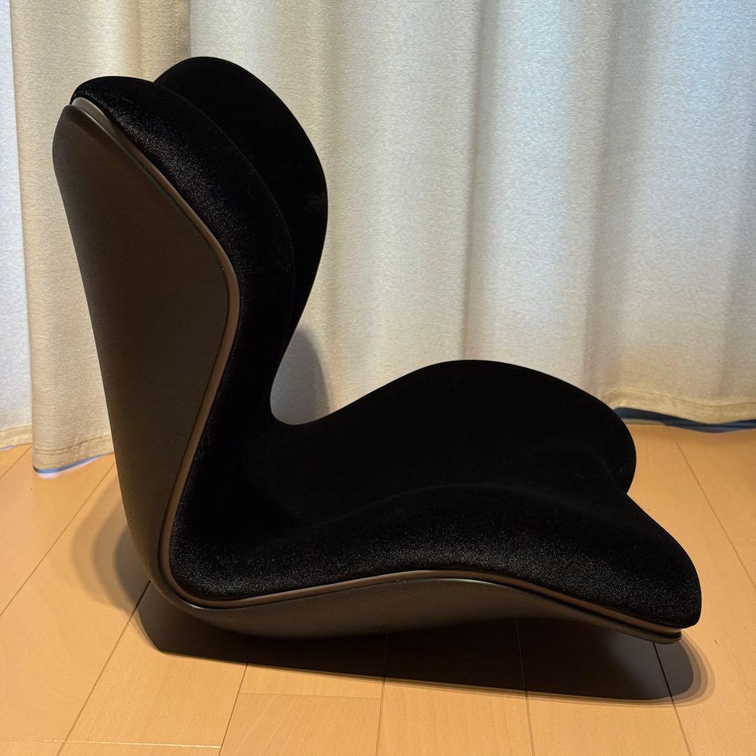 Style PREMIUM DX スタイルプレミアムデラックス ブラック