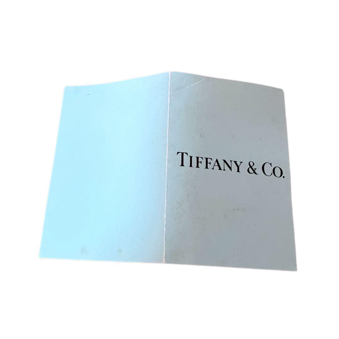 廃盤★Tiffany & Co.ティファニー バンブーピアス SV925 ラージ