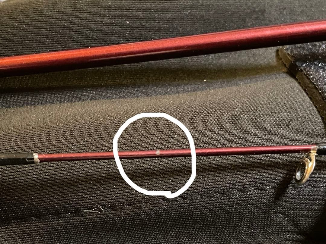 フィッシュマン beams blancsierra 5.2UL