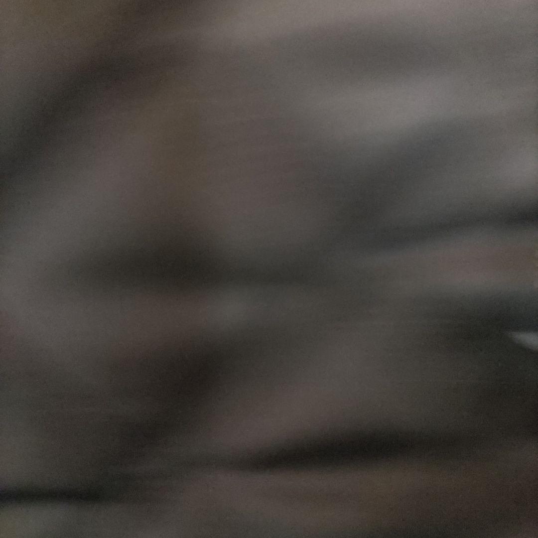 o*3様 ステューシーコラボアルファ社N-3B訳あり