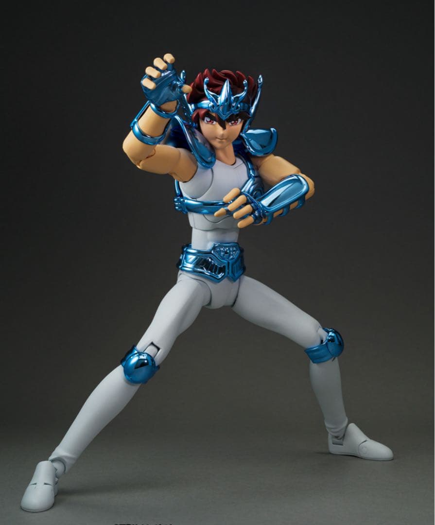 聖闘士聖衣神話 初期青銅聖衣 20th Anniversary セット