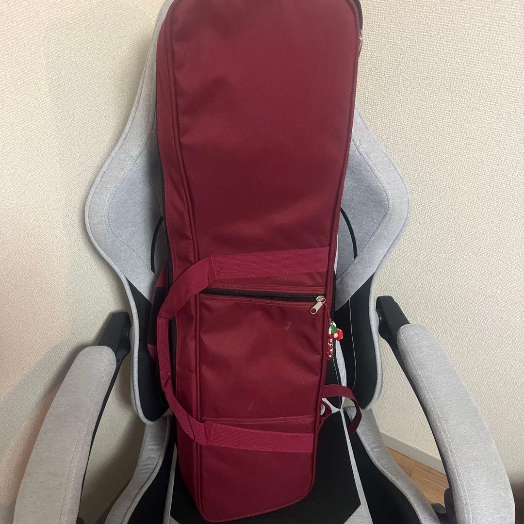 【美品】三味線本体 赤茶色 蛇皮付属品あり　ケース付き！