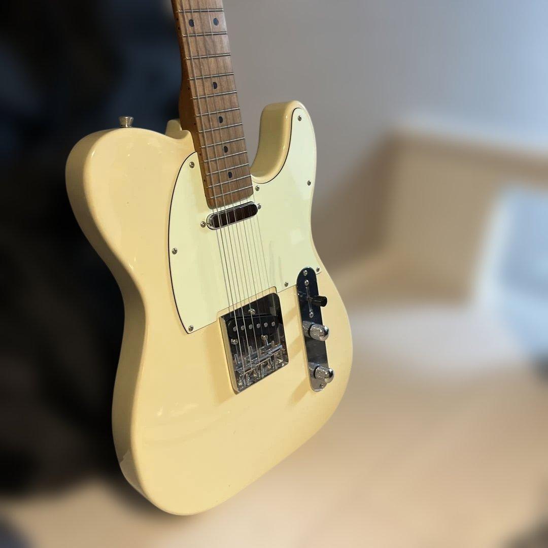 Bacchus BTE-1-RSM/M エレキギター テレキャス