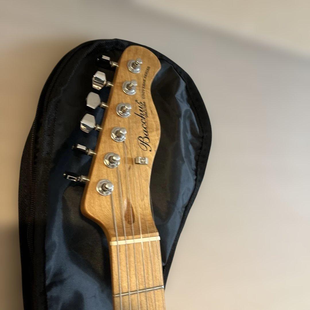 Bacchus BTE-1-RSM/M エレキギター テレキャス