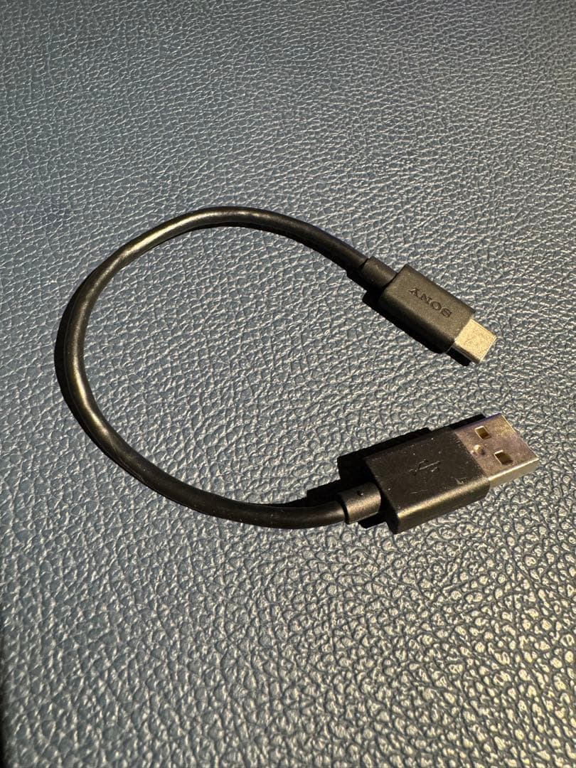 SONY ウォークマン NW-A306￼ 128GB SDカード、ケース付き！