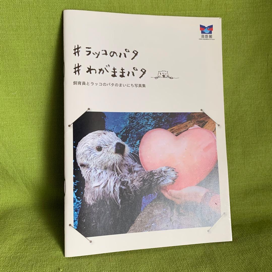 海遊館 ラッコのパタ 写真集 - メルカリ