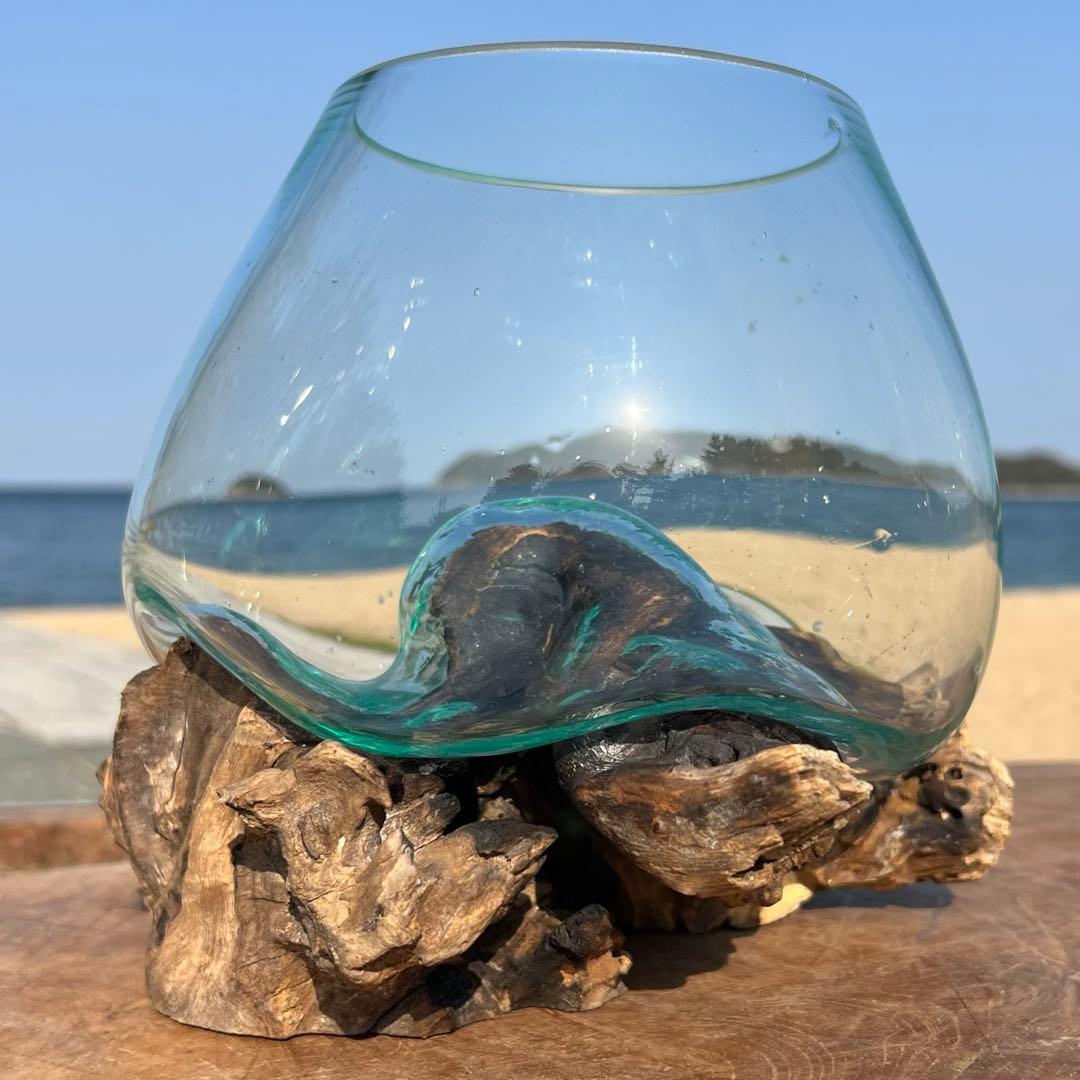 流木ガラス オブジェ中P 花瓶 金魚鉢 ガーデニング テラリウム 観賞魚 容器