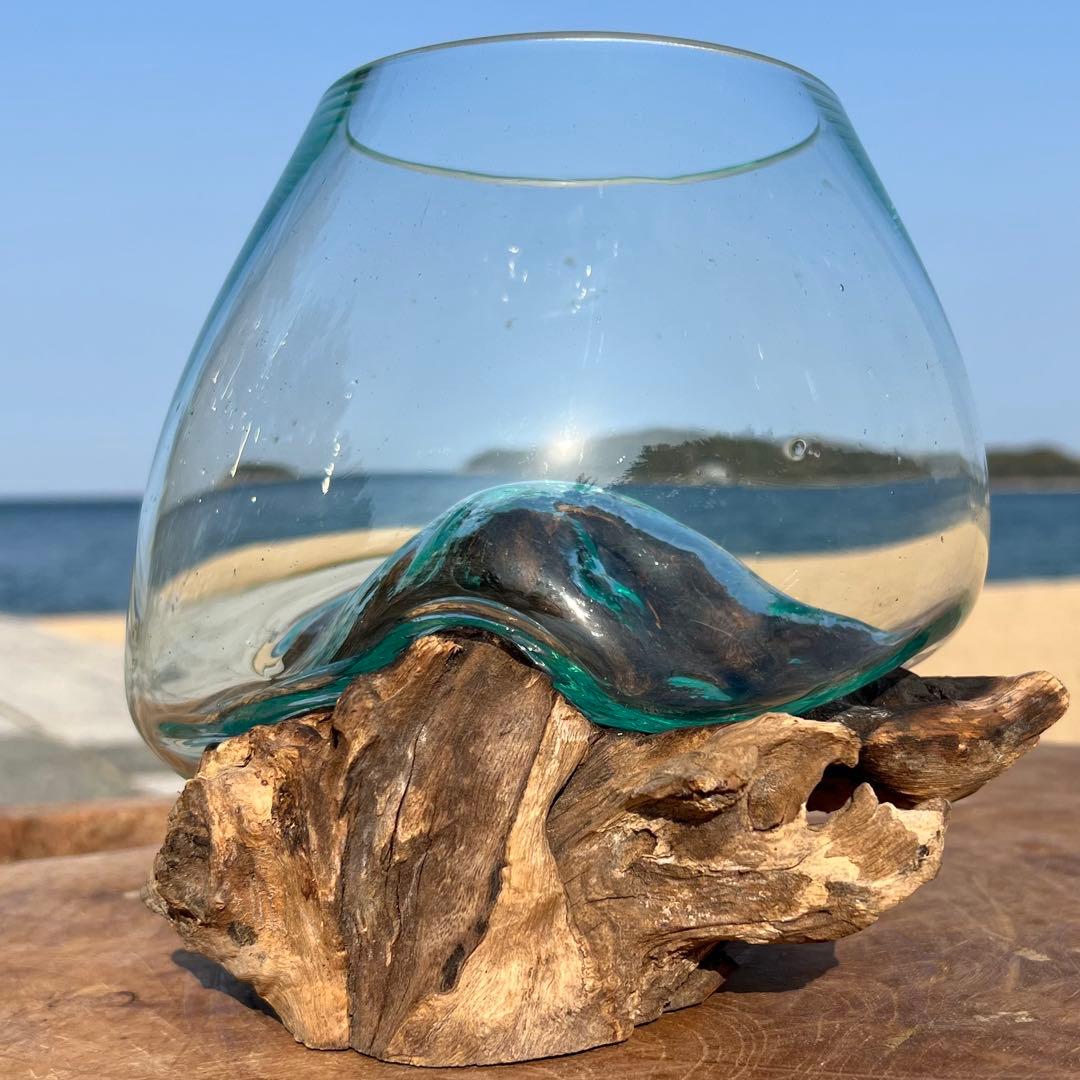 流木ガラス オブジェ中P 花瓶 金魚鉢 ガーデニング テラリウム 観賞魚 容器