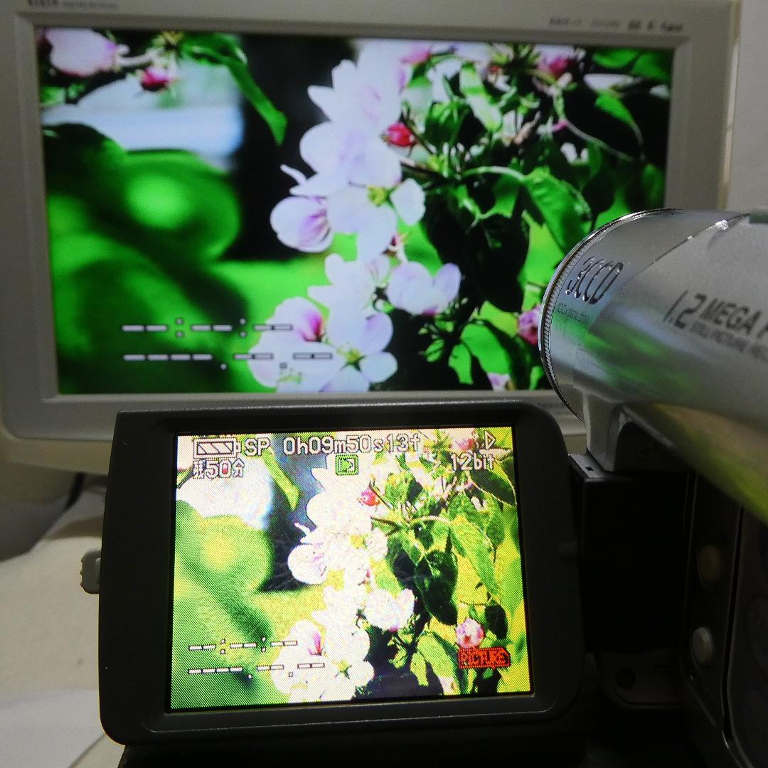 動作良好 パナソニック NV-GS120 MiniDVビデオカメラDVD化に最適