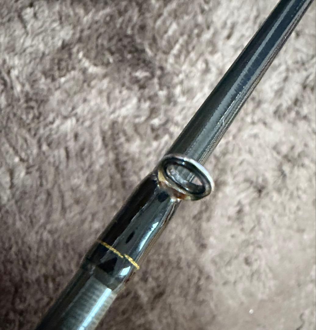 ダイワ ラテオ 100M シーバスロッド