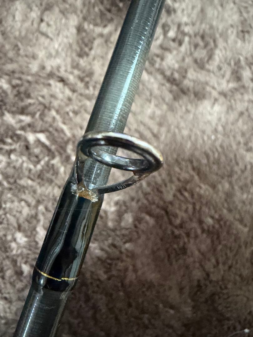 ダイワ ラテオ 100M シーバスロッド