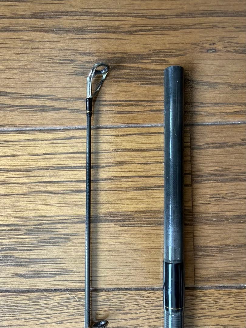 ダイワ ラテオ 100M シーバスロッド