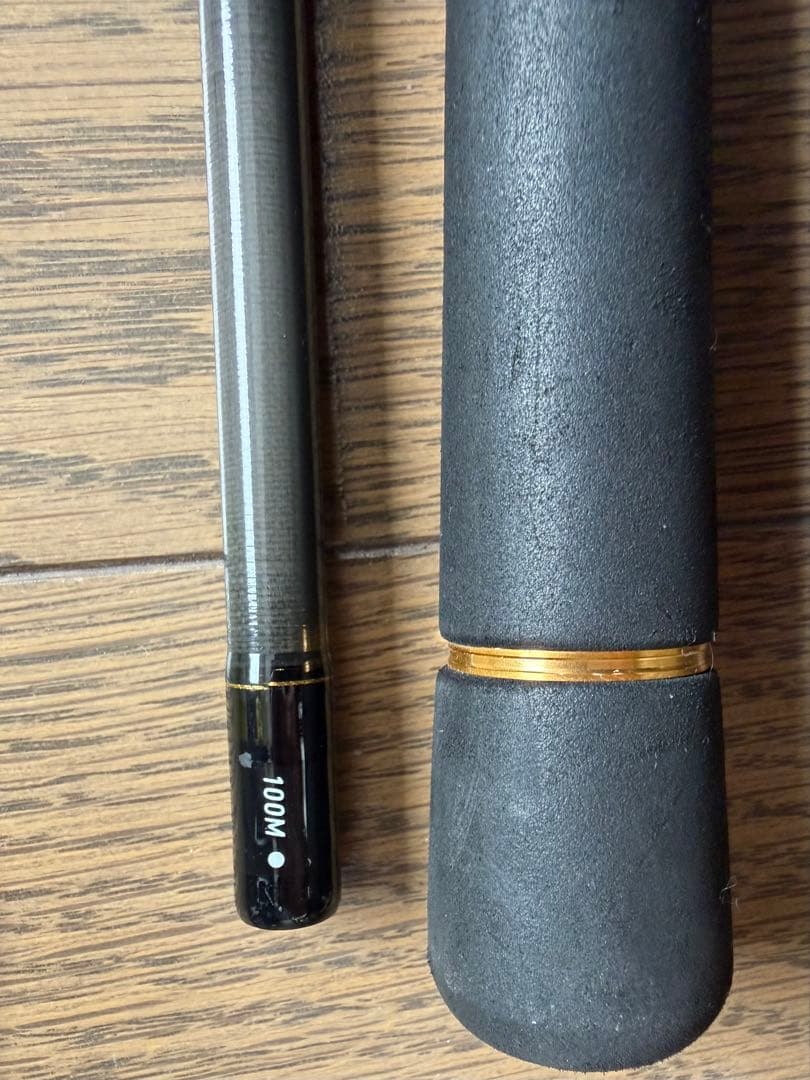 ダイワ ラテオ 100M シーバスロッド