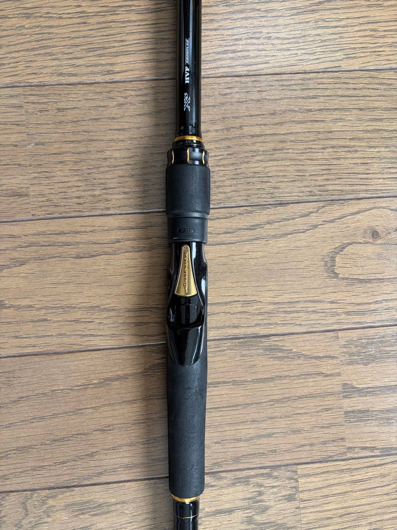 ダイワ ラテオ 100M シーバスロッド