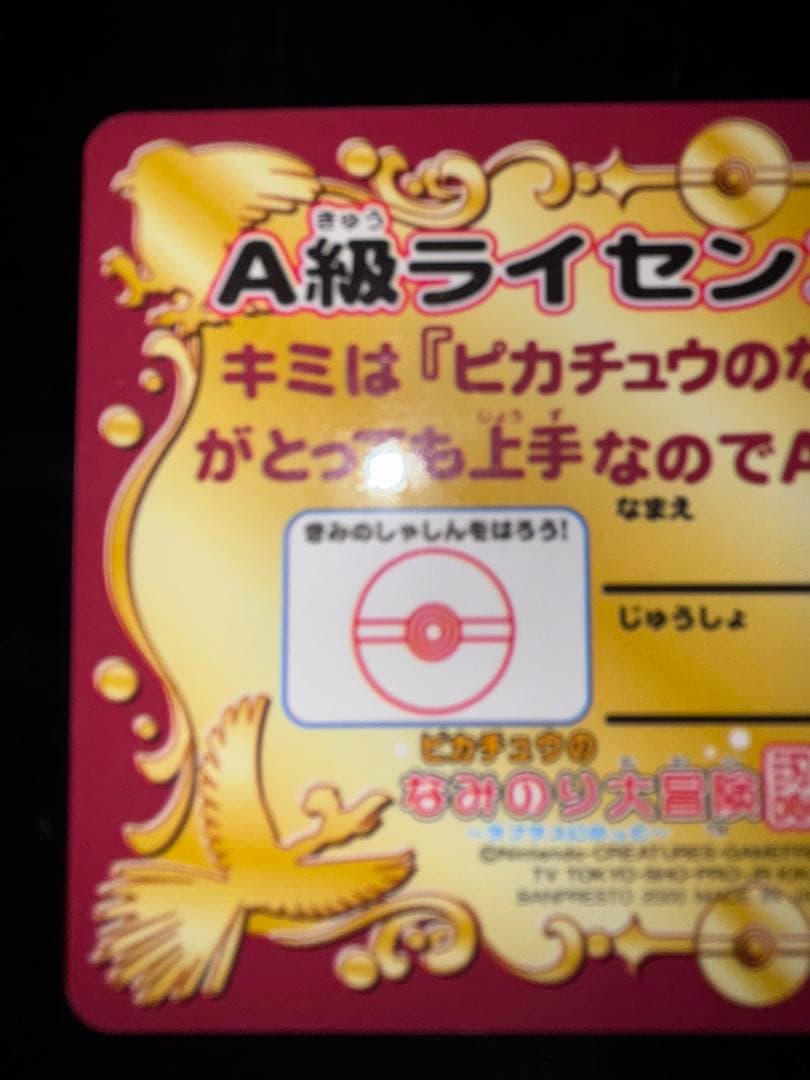A級ライセンス 認定証 ピカチュウ なみのり大冒険 ポケモン 2種