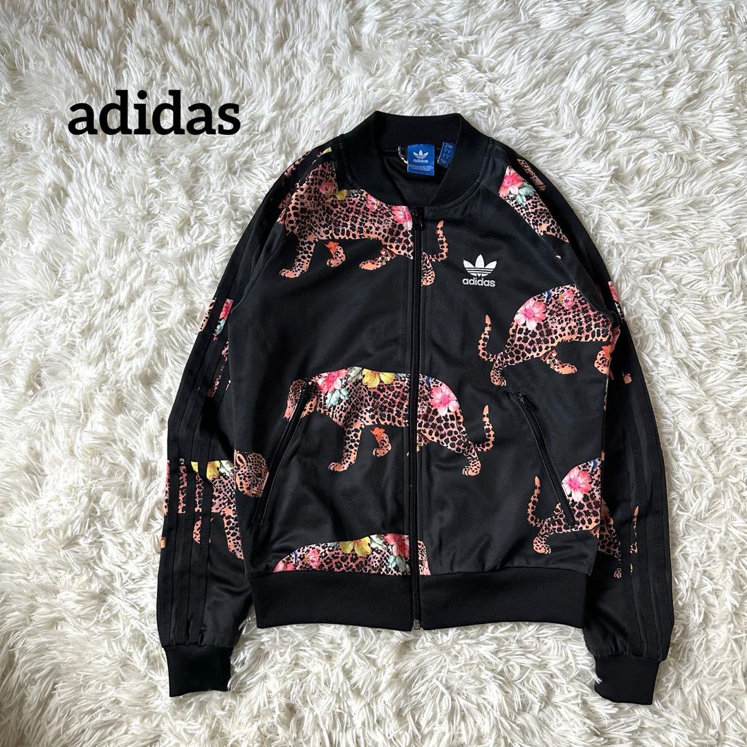 setupexe WAFFEN LINE COLLAR TEE シズニルック