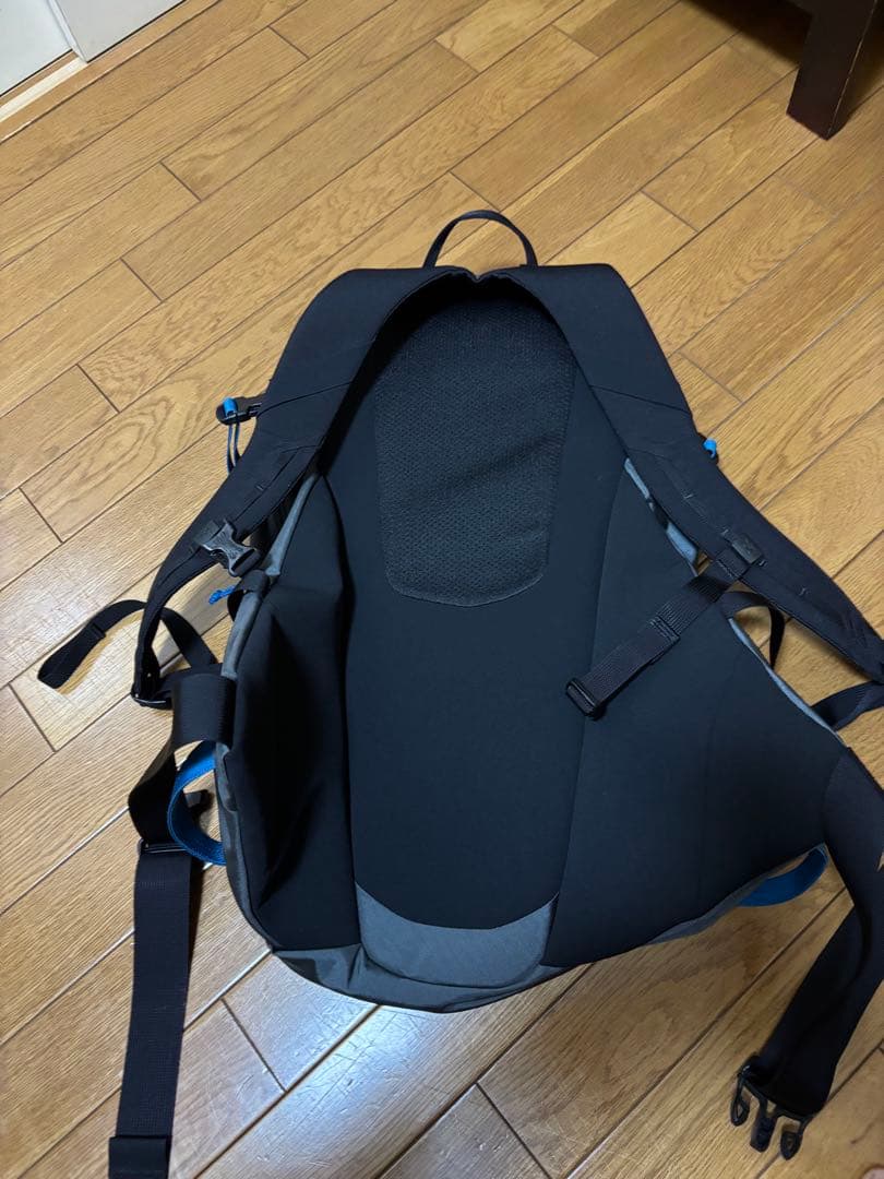 ARC'TERYX バックパック グレー