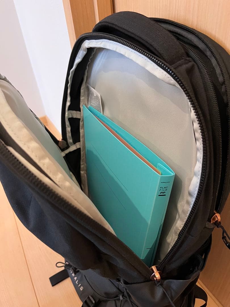 【美品】THE NORTH FACE POREALIS リュック　バックパック