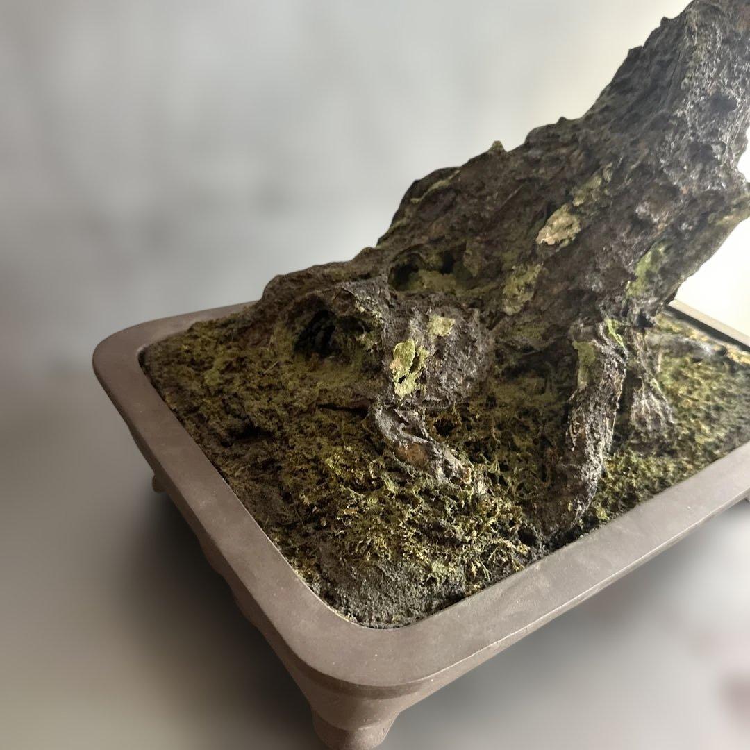 瞬間的お値下げ‼️素敵すぎるフェイク盆栽‼️自然形状の盆栽 四角形鉢