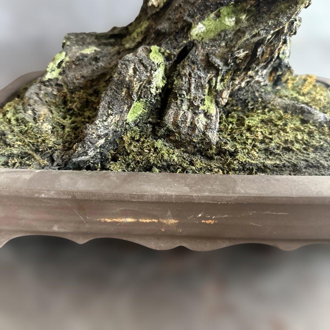 瞬間的お値下げ‼️素敵すぎるフェイク盆栽‼️自然形状の盆栽 四角形鉢