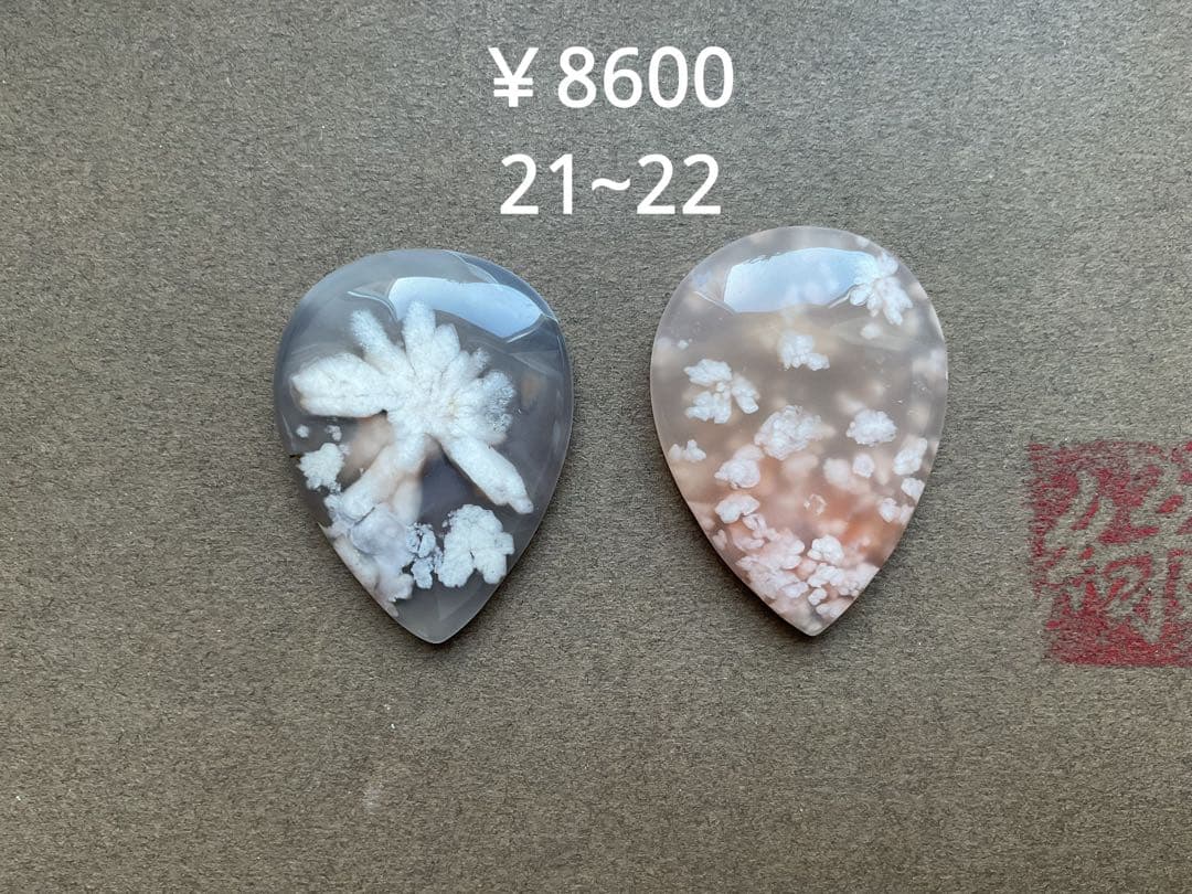 medaka ⚠️プロフ必読 9/2