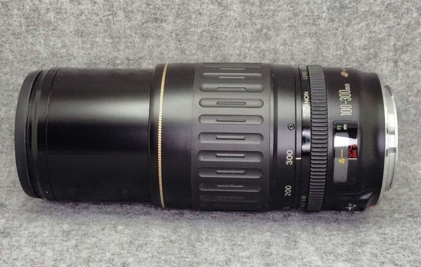 キヤノン　EF100-300mm F4.5-5.6 USM 望遠ズームレンズ