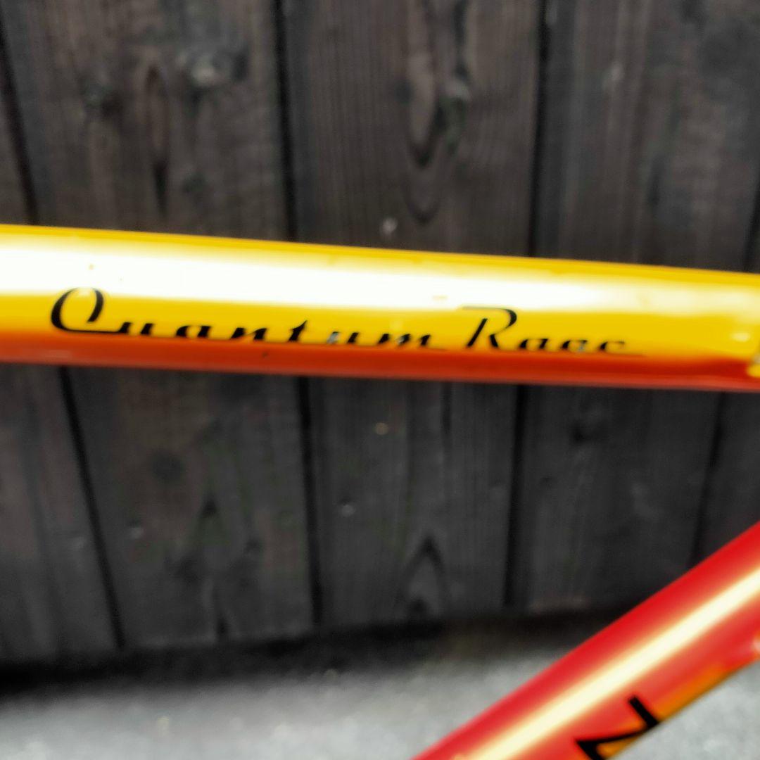 超レア物！　ロードバイク　クラッシッククライン 　大きいサイズ