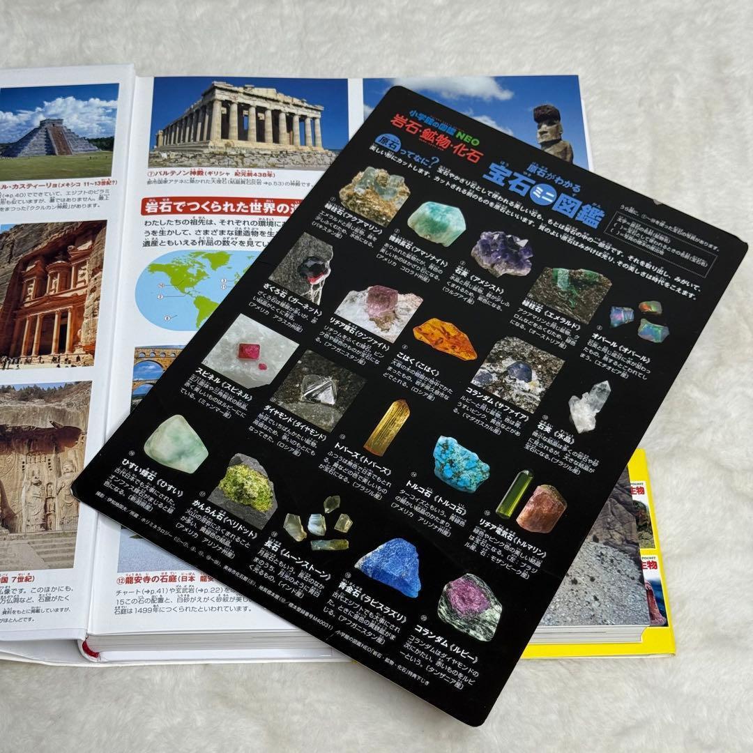 【良品・カバーあり】小学館の図鑑NEO 全巻20冊セット