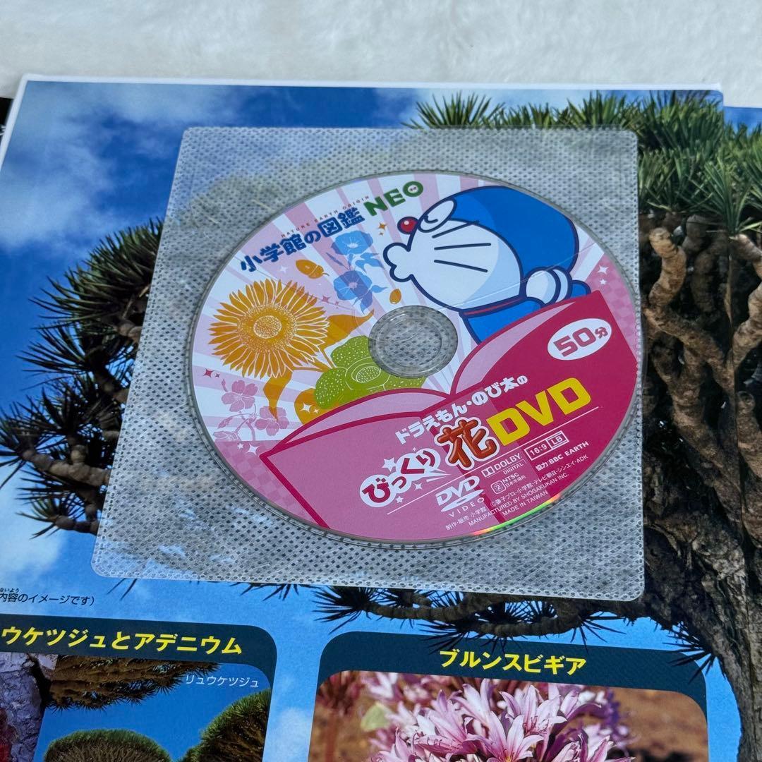 【良品・カバーあり】小学館の図鑑NEO 全巻20冊セット