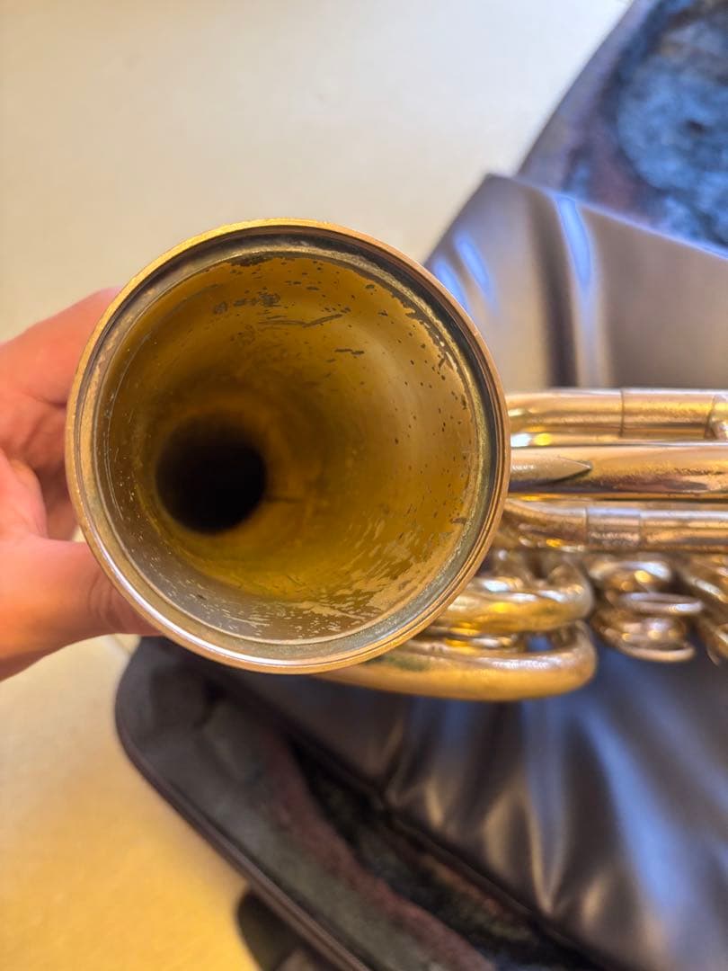 Hans Hoyer　N802B　フルダブルホルン　本体　F/B♭ 最終価格