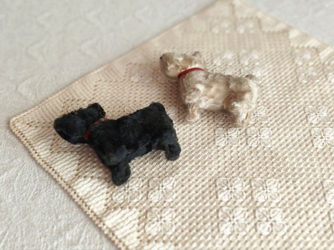 vintage teria ❀ クリーム色の毛並みの テリアさん