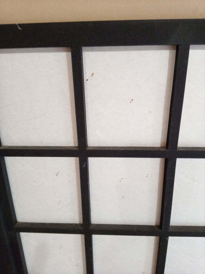 折りたたみ式パーティション