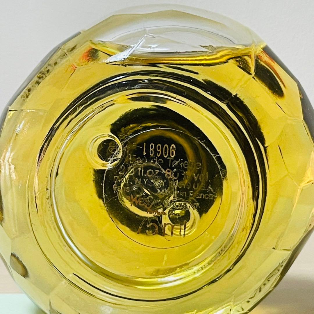 新品未使用 イヴサンローラン パリ 75ml